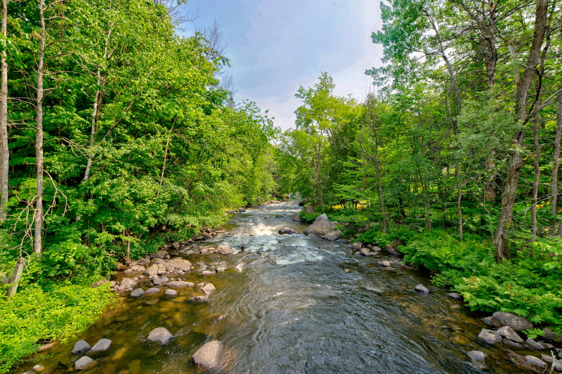 Photo - Bord de l'eau