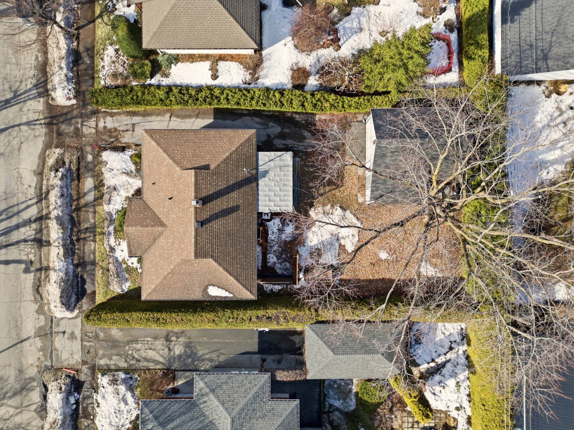 Photo - Terre/Terrain