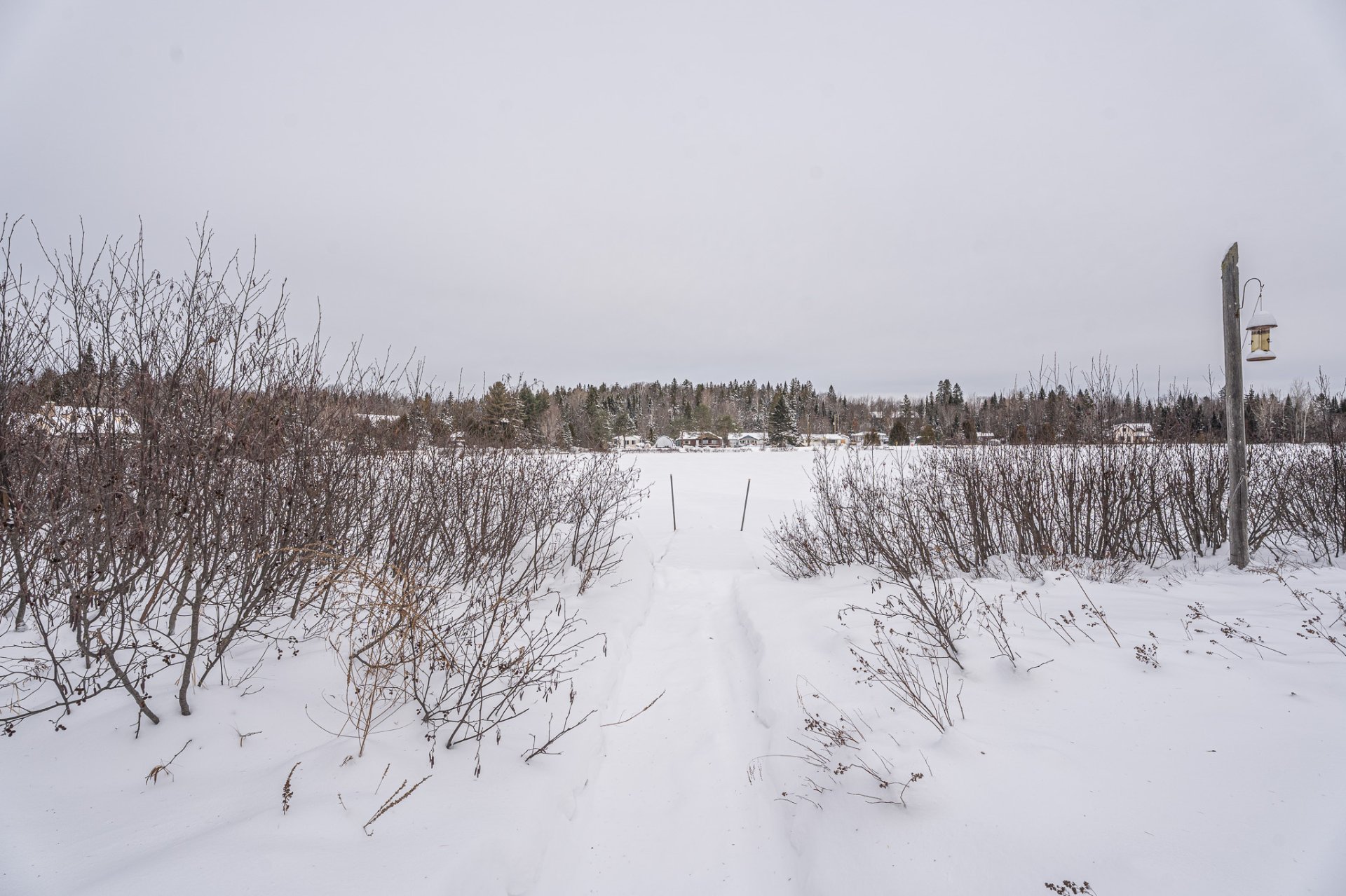 Photo - Bord de l'eau