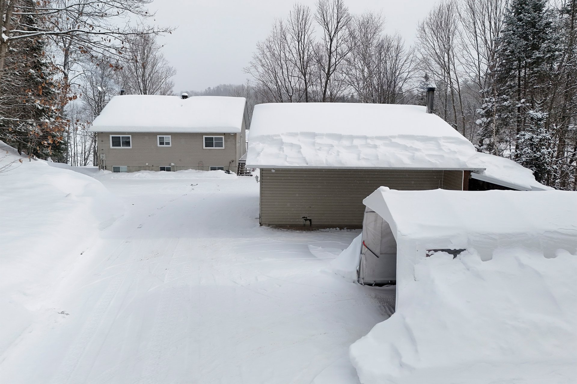 Photo - Face arrière