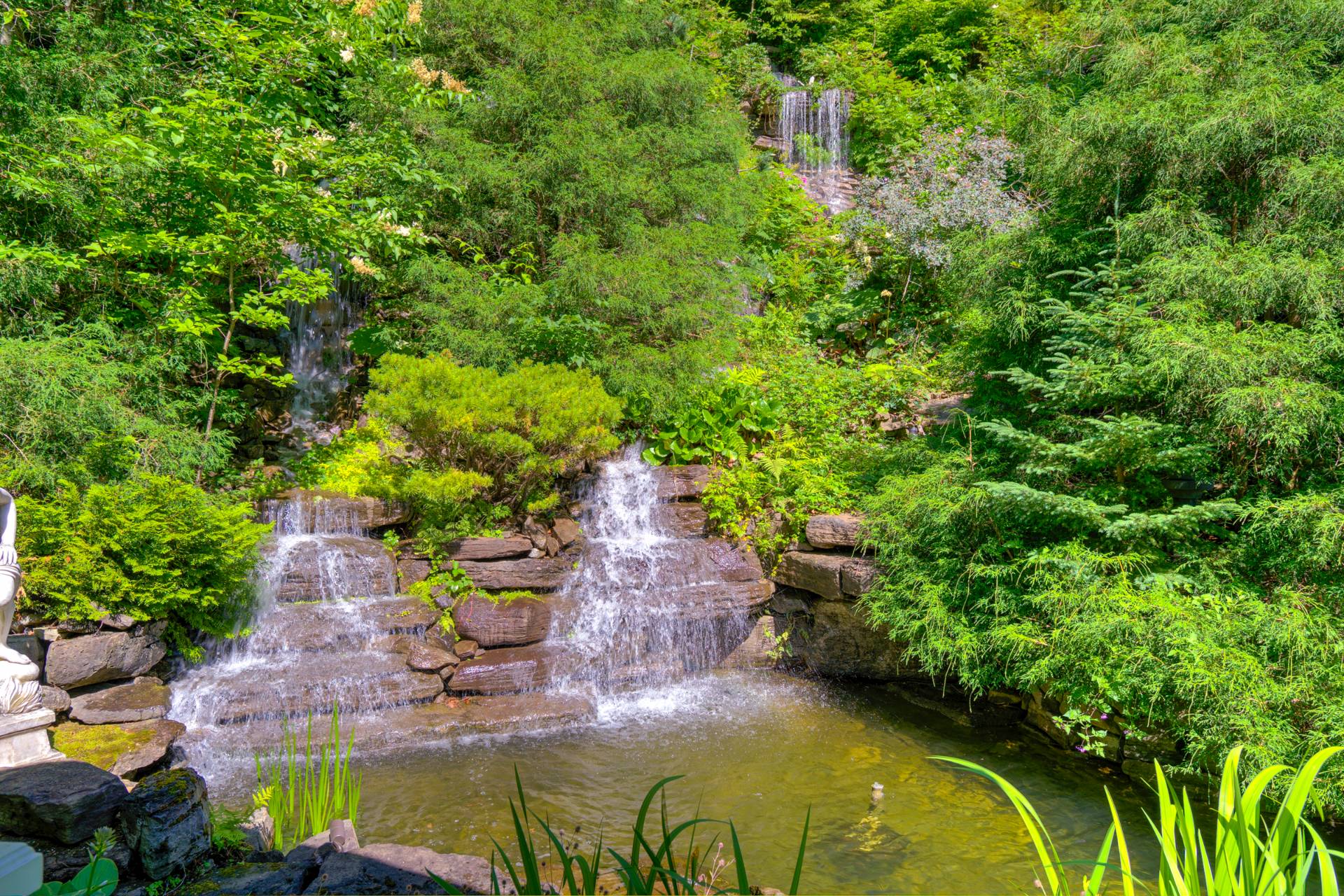 Photo - Vue sur l'eau