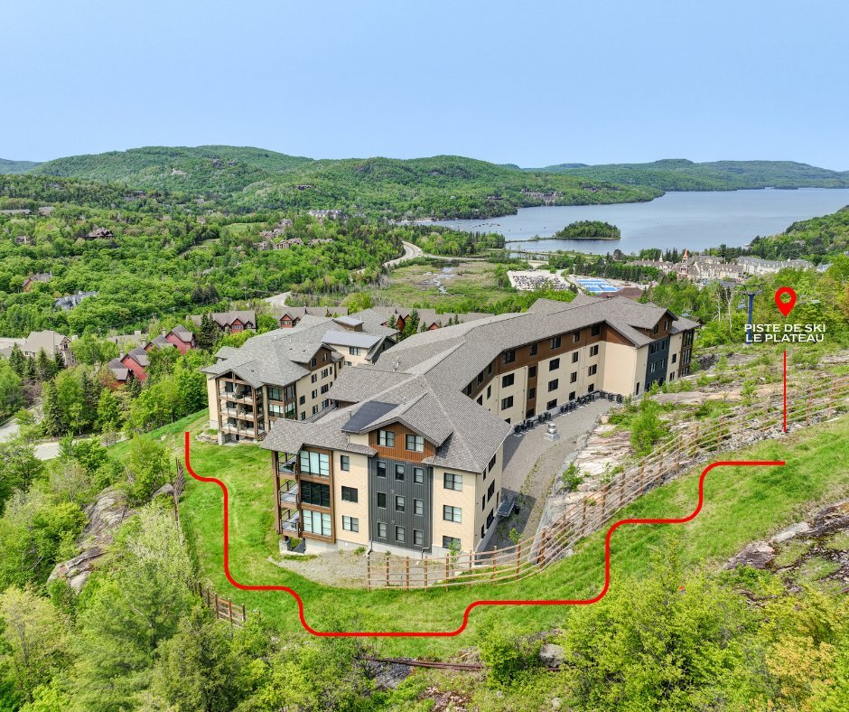 Photo - Aerial photo