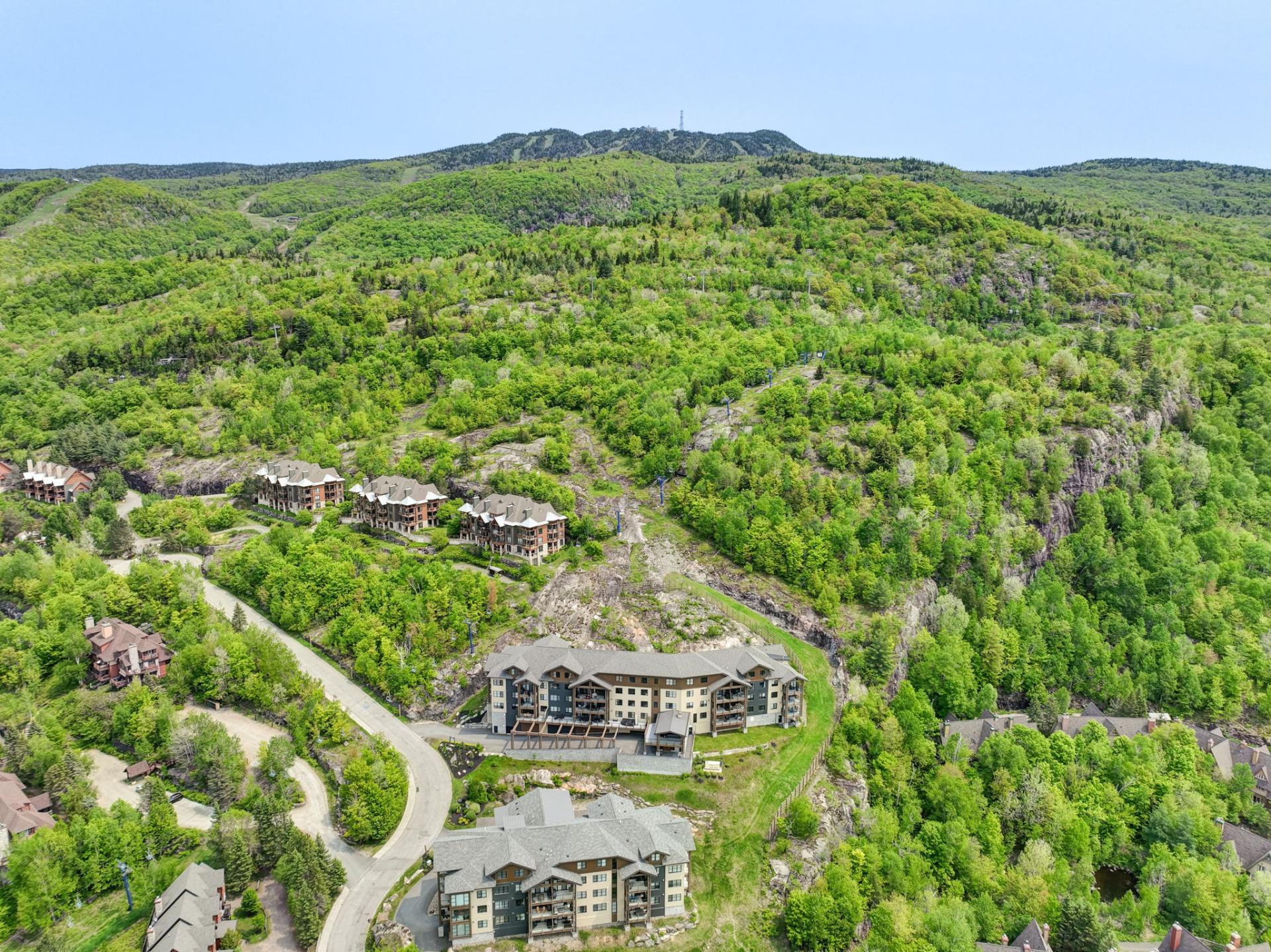 Photo - Aerial photo