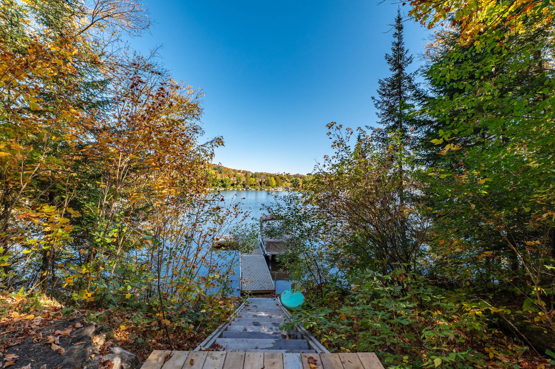 Photo - Bord de l'eau