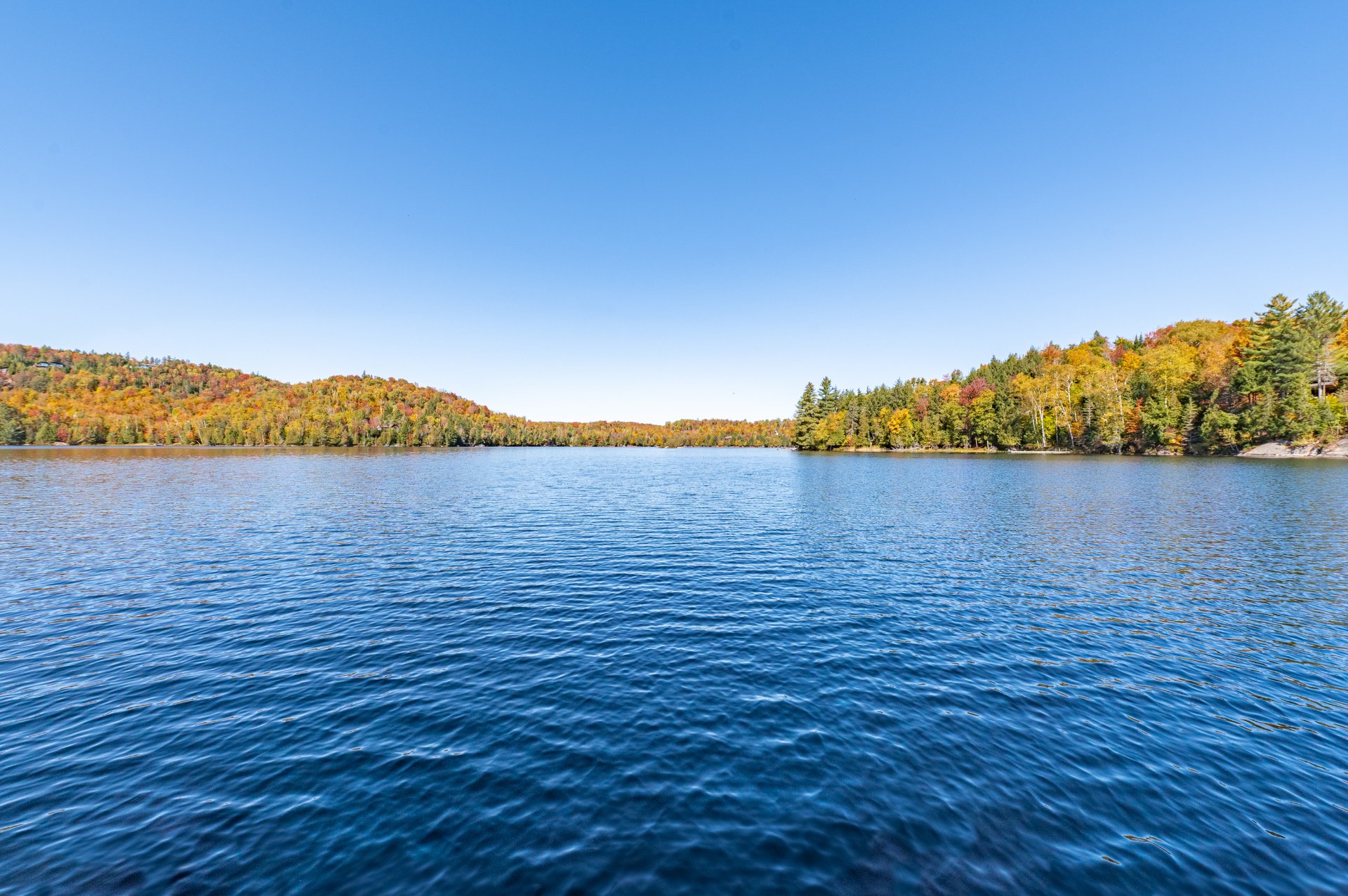 Photo - Bord de l'eau
