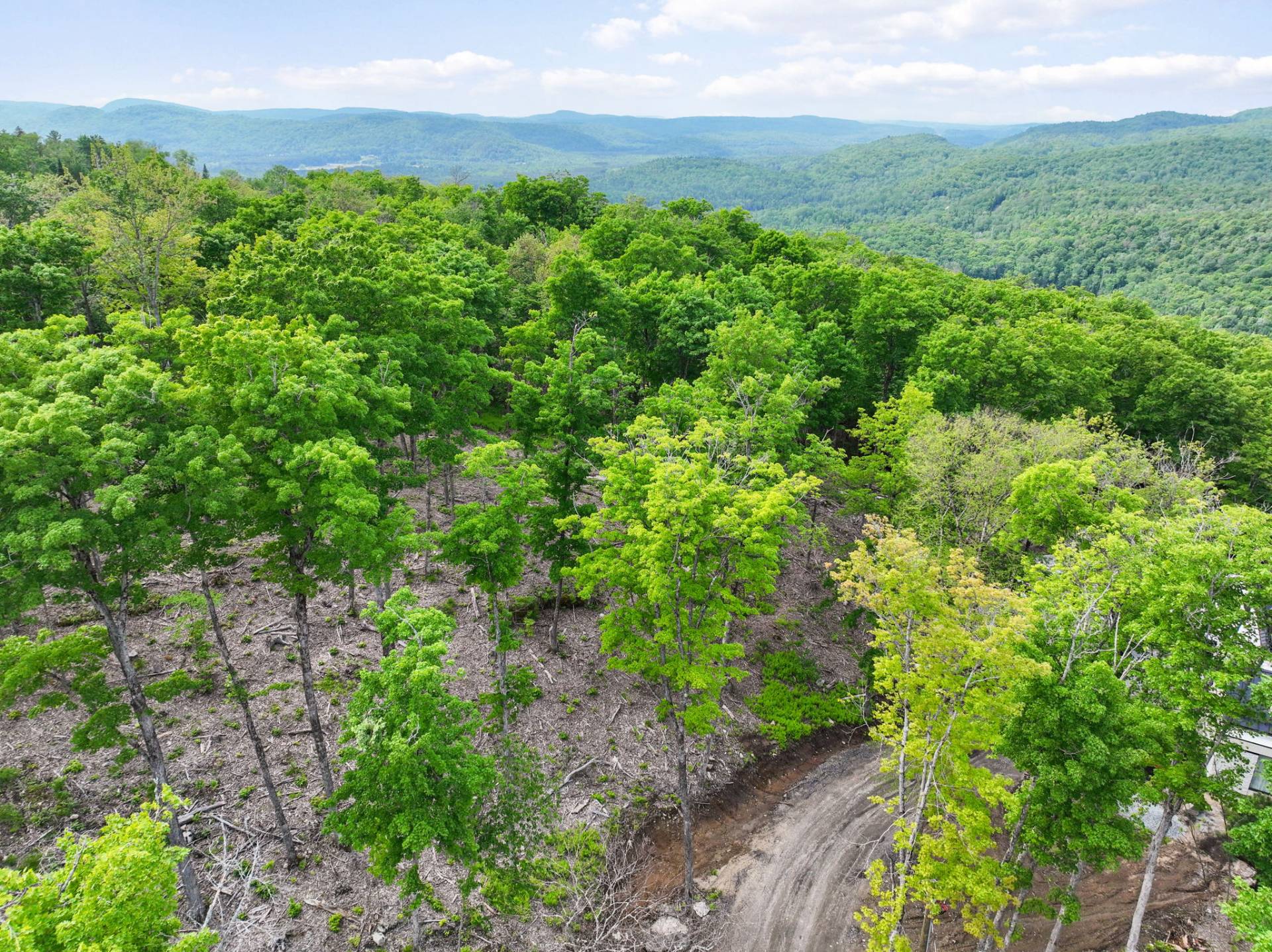 Photo - Photo aérienne