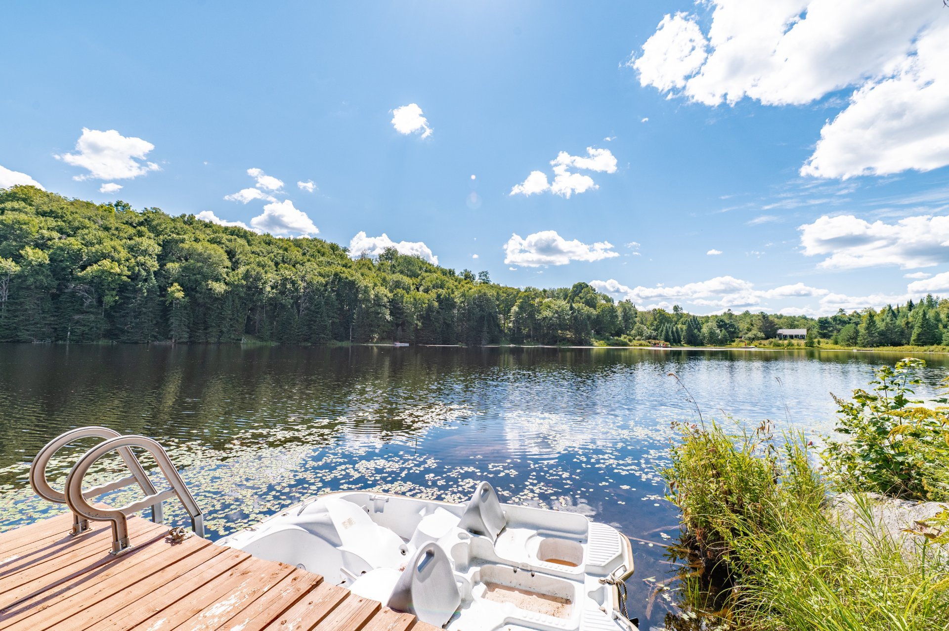 Photo - Bord de l'eau