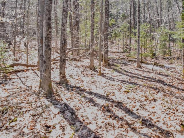 maison à vendre Val-des-Monts