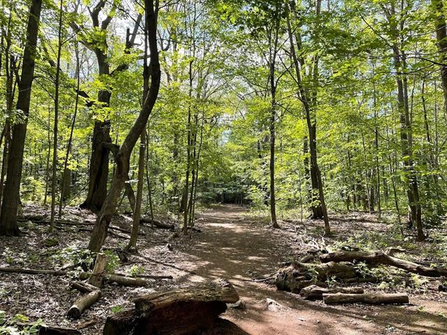 Condo à vendre, Montréal (Côte-des-Neiges/Notre-Dame-de-Grâce)