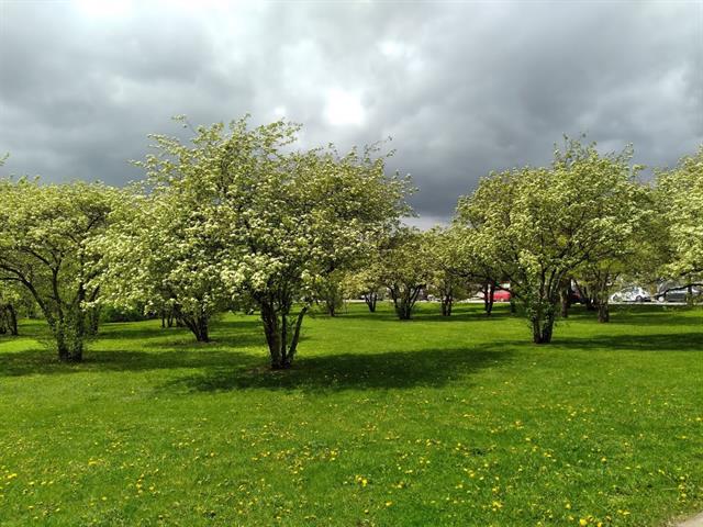 Duplex à vendre, Montréal (Anjou)