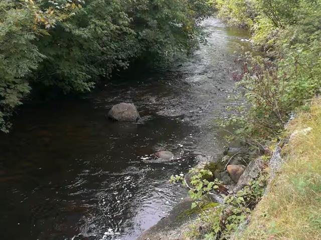 Accès au plan d'eau