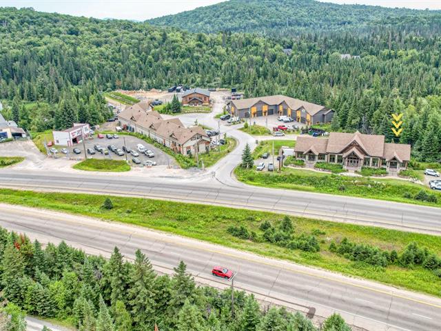 maison à vendre Sainte-Agathe-des-Monts