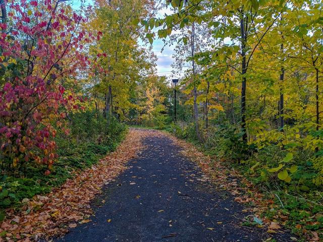 Maison à étages à vendre, Montréal (Mercier/Hochelaga-Maisonneuve)