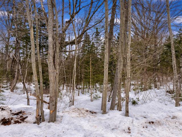 maison à vendre Saint-Donat