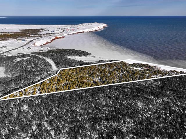 maison à vendre Grosse-Île