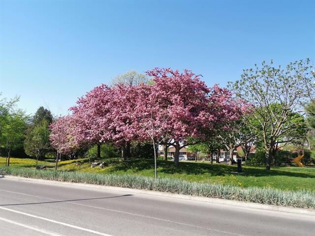 Duplex à vendre, Montréal (Mercier/Hochelaga-Maisonneuve)