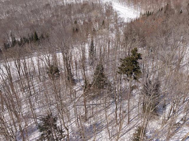 maison à vendre Saint-Donat