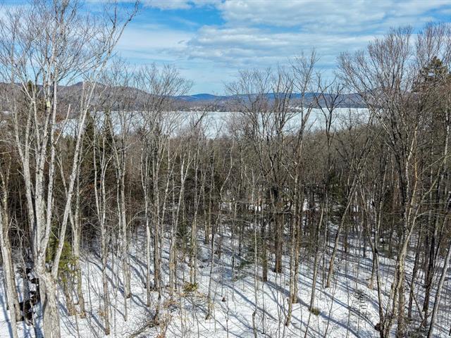 maison à vendre Saint-Donat